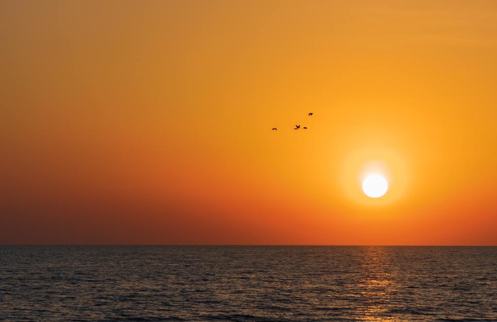 Photo of sunset with birds over the sea by Moka on Unsplash